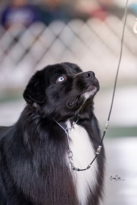 Aux Mille éclats D'Aphrodite