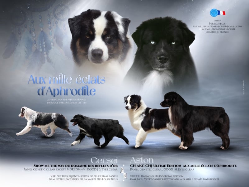 Berger Australien - Aux Mille éclats D'Aphrodite