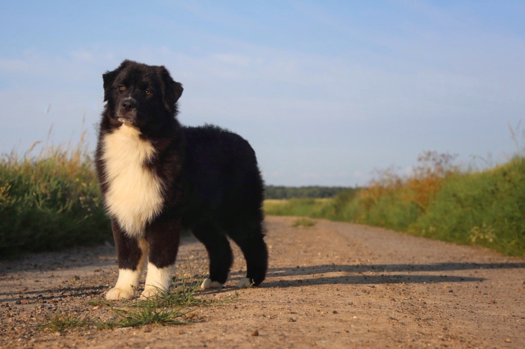 A last want Aux Mille éclats D'Aphrodite - BOB BABY