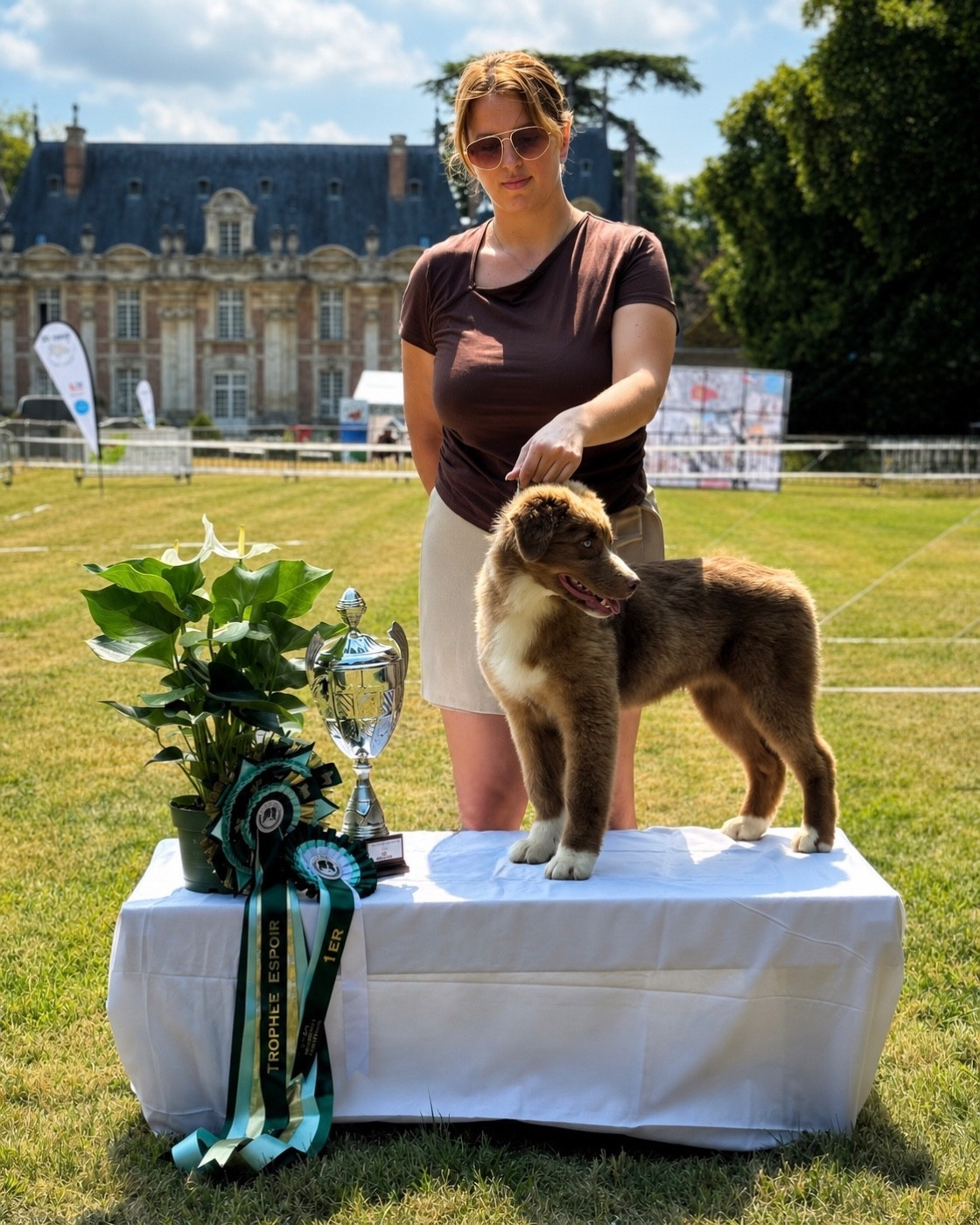 Bourbon d Exception Aux Mille éclats D'Aphrodite - BOB BABY - TROPHÉE ESPOIR
