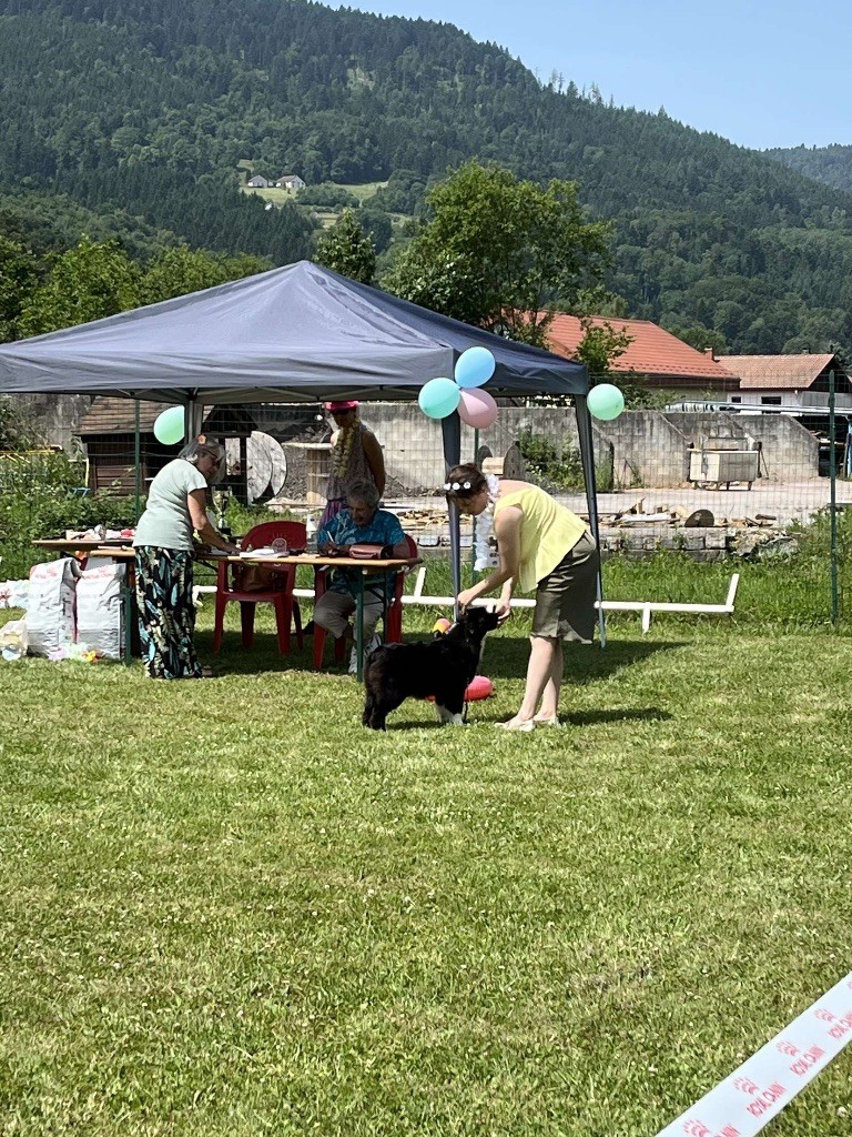 A last want Aux Mille éclats D'Aphrodite - BOB BABY