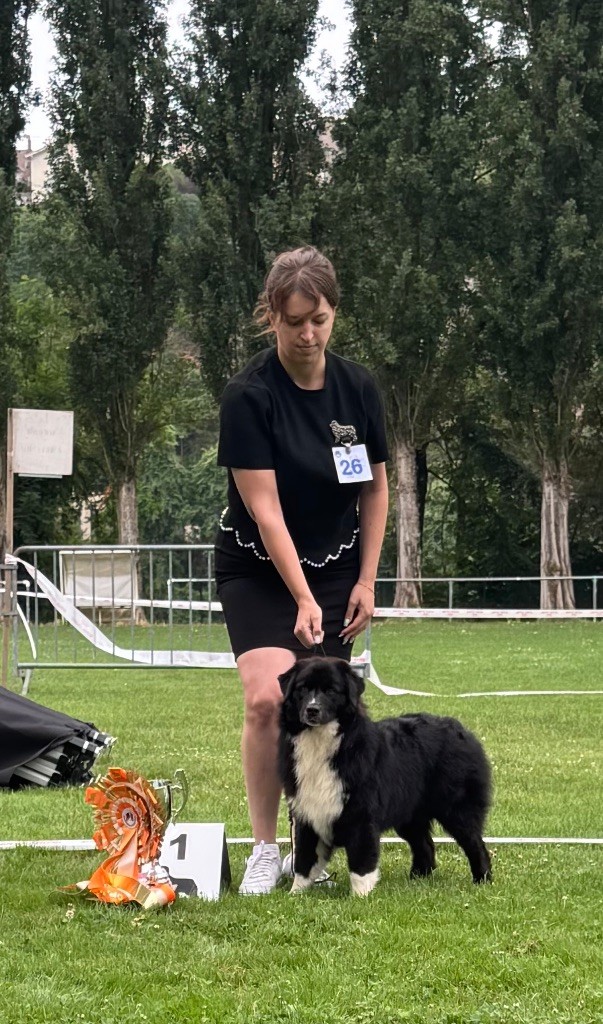 A last want Aux Mille éclats D'Aphrodite - 1 EXC - BOB PUPPY - TROPHÉE ESPOIR