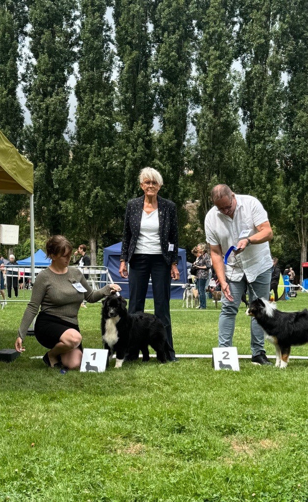 A last want Aux Mille éclats D'Aphrodite - BOB PUPPY