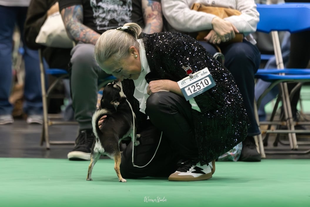 Publication : Des Gentils Coquelicots