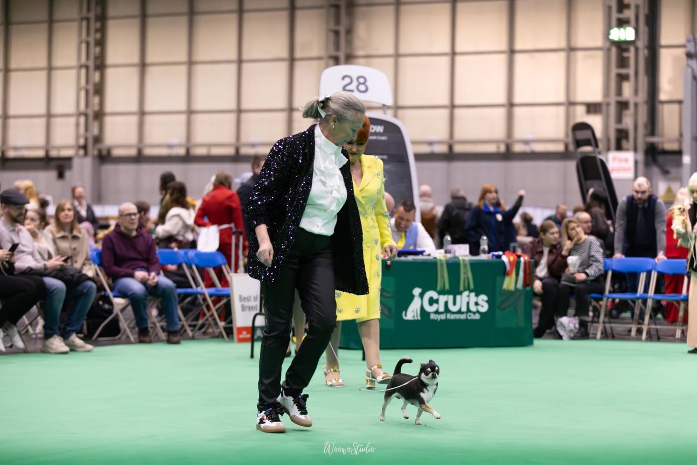 Publication : Des Gentils Coquelicots