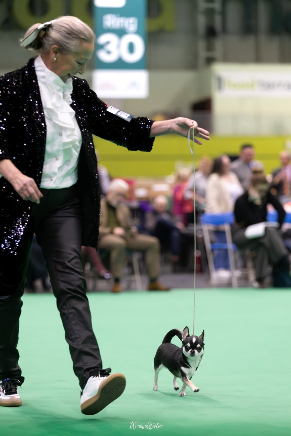 Publication : Des Gentils Coquelicots