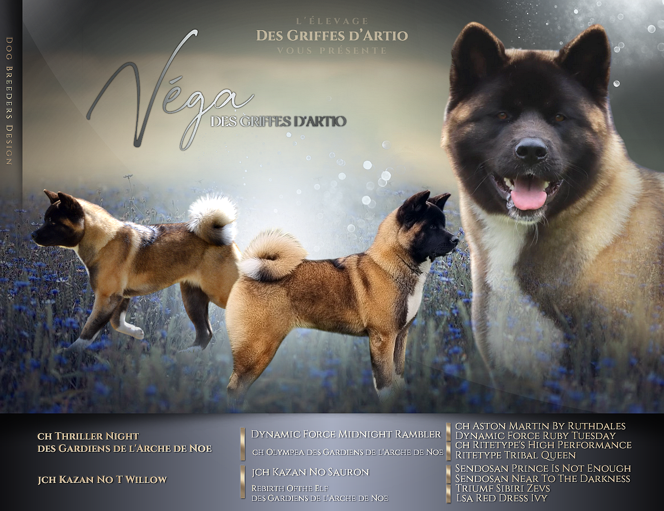 Publication : Des Griffes D'Artio