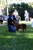 Tesla miss tcha tcha tcha des Romarins de Mayerling - Très Prometteur / Meilleur Puppy