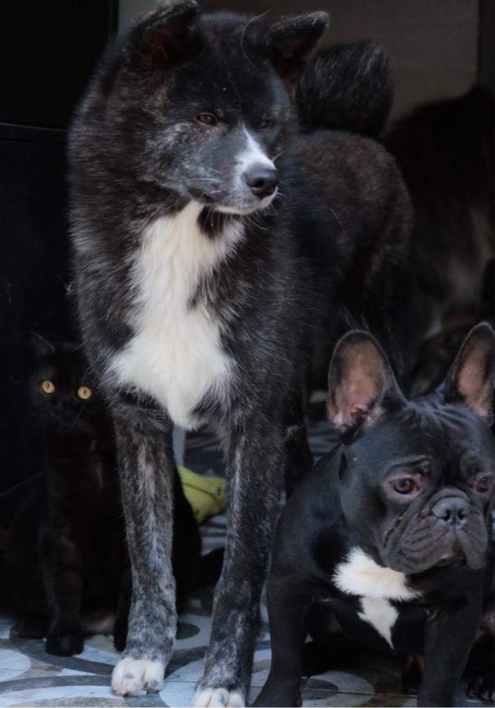 Publication : No Asahi