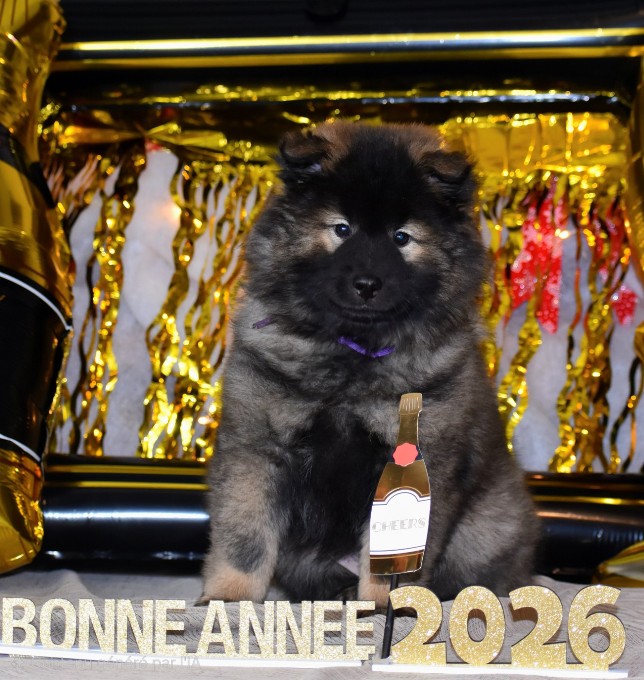 Aika Umiko Des Diamants De L'océan