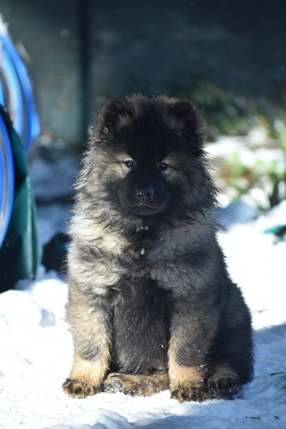 Aika Umiko Des Diamants De L'océan