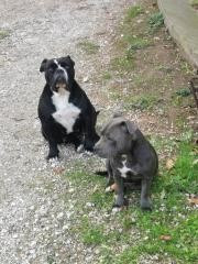 Vénus (Sans Affixe)