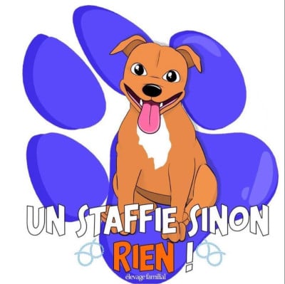 Un Staffie Sinon Rien