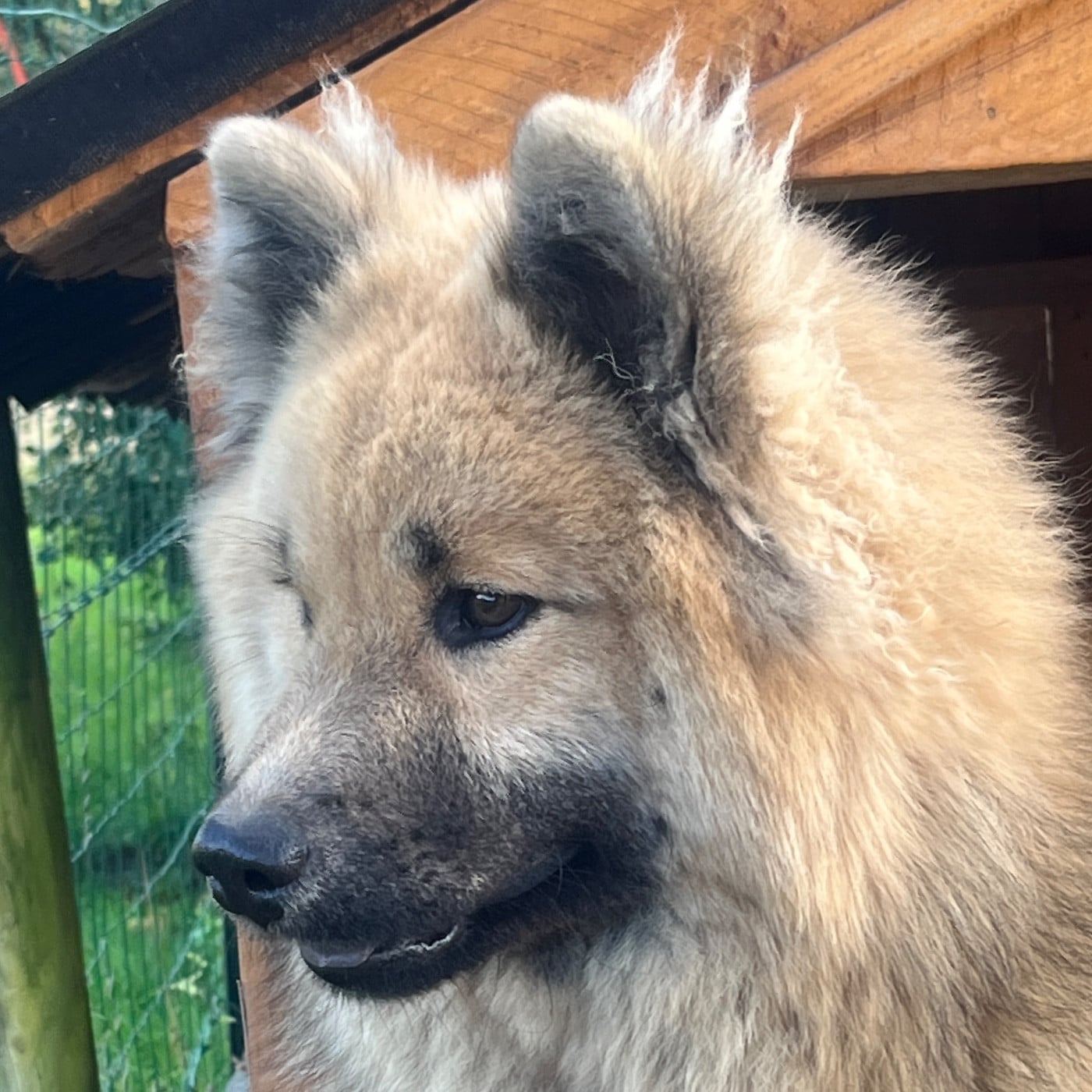 Publication : des Sables d'Olympe