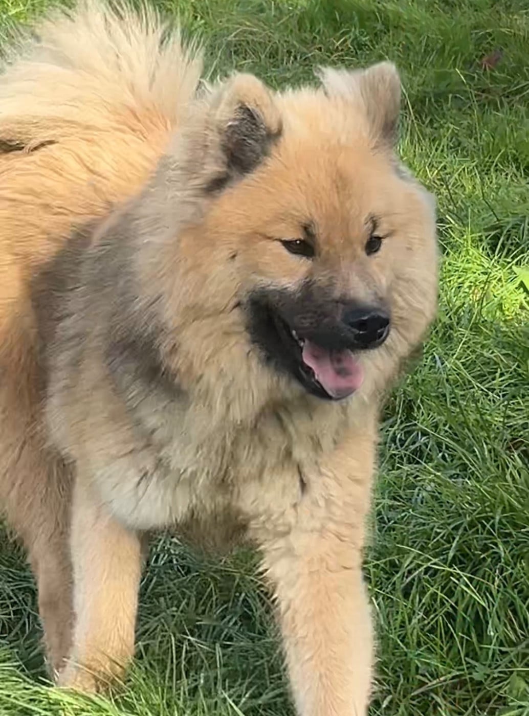 Publication : des Sables d'Olympe