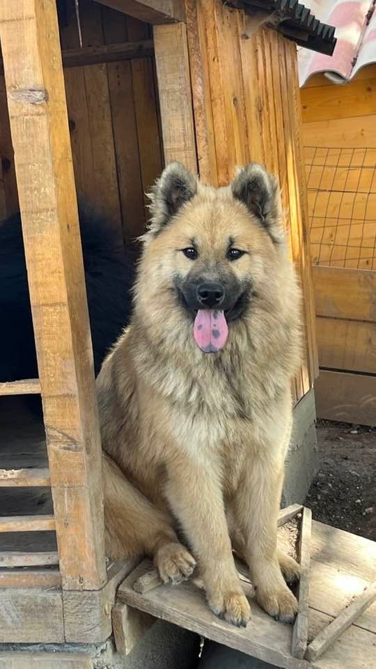 Publication : des Sables d'Olympe