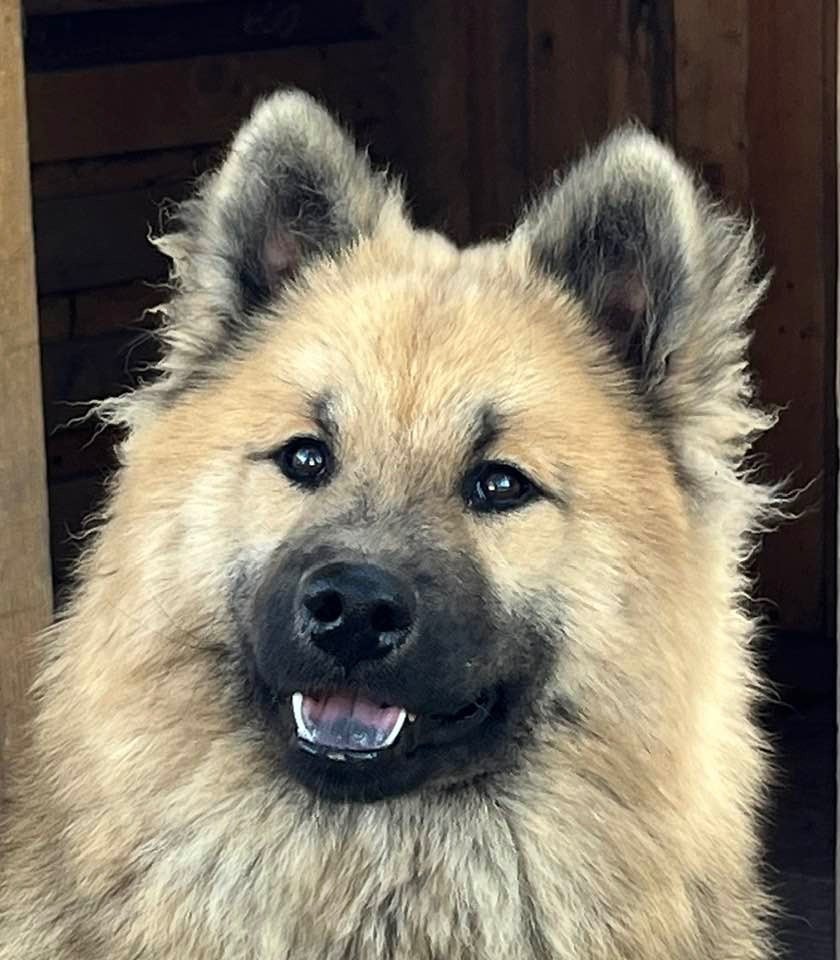 Publication : des Sables d'Olympe