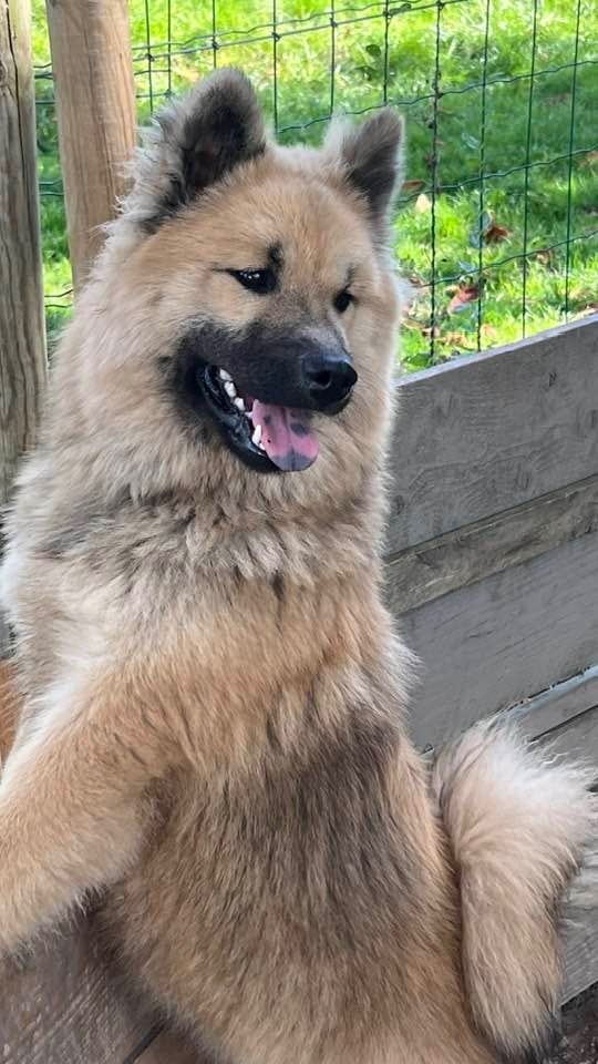 Publication : des Sables d'Olympe