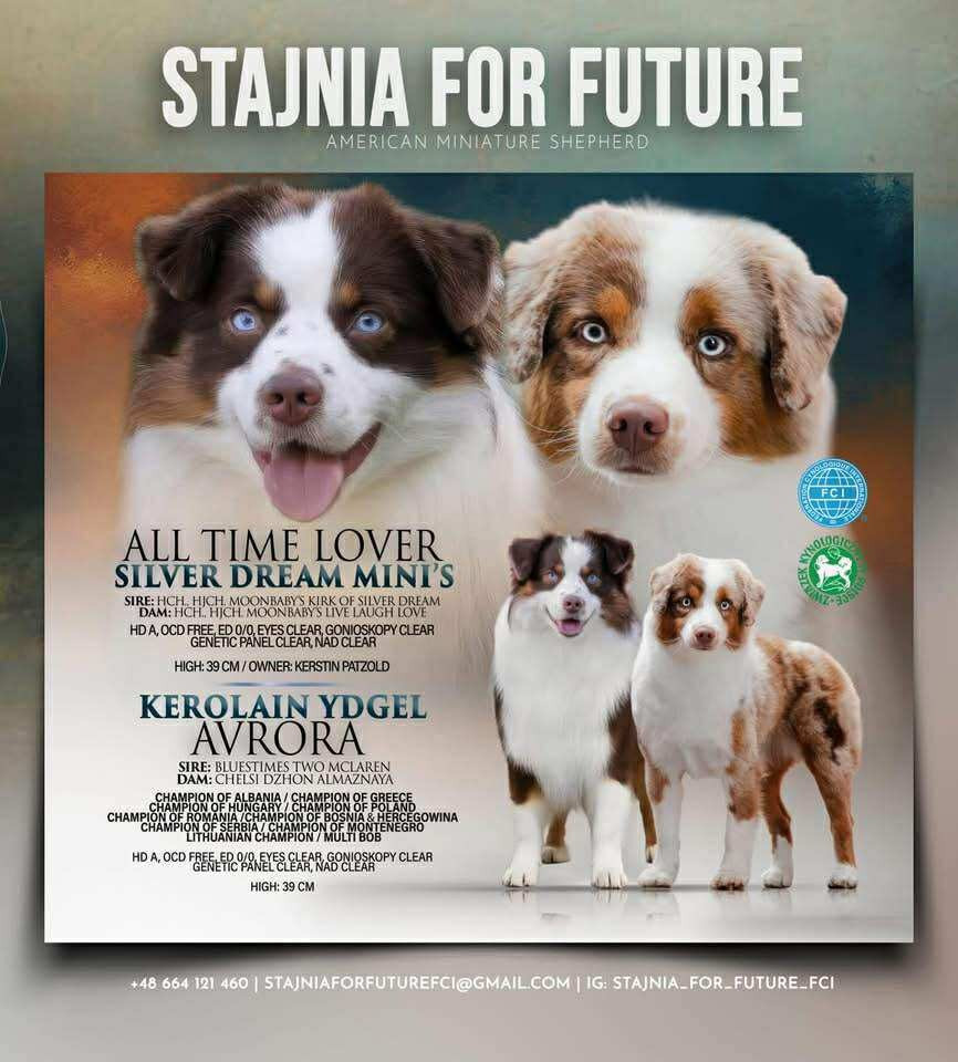 astonn stajinia for future a.z astonn