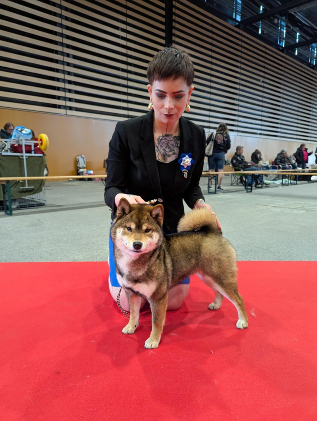 V' kazu no oko Nihon No Inu