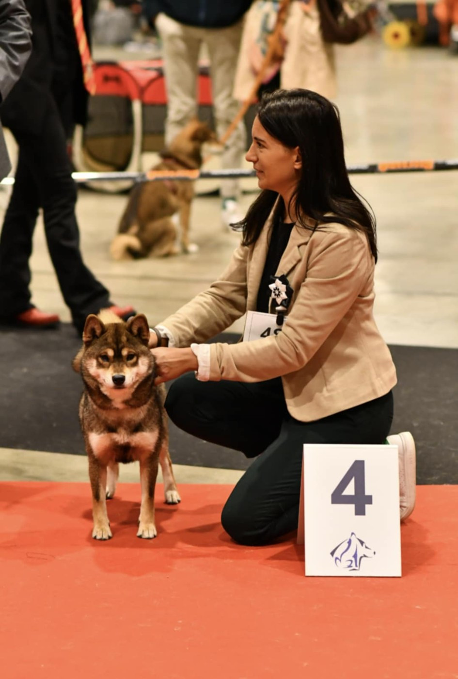 V' kazu no oko Nihon No Inu