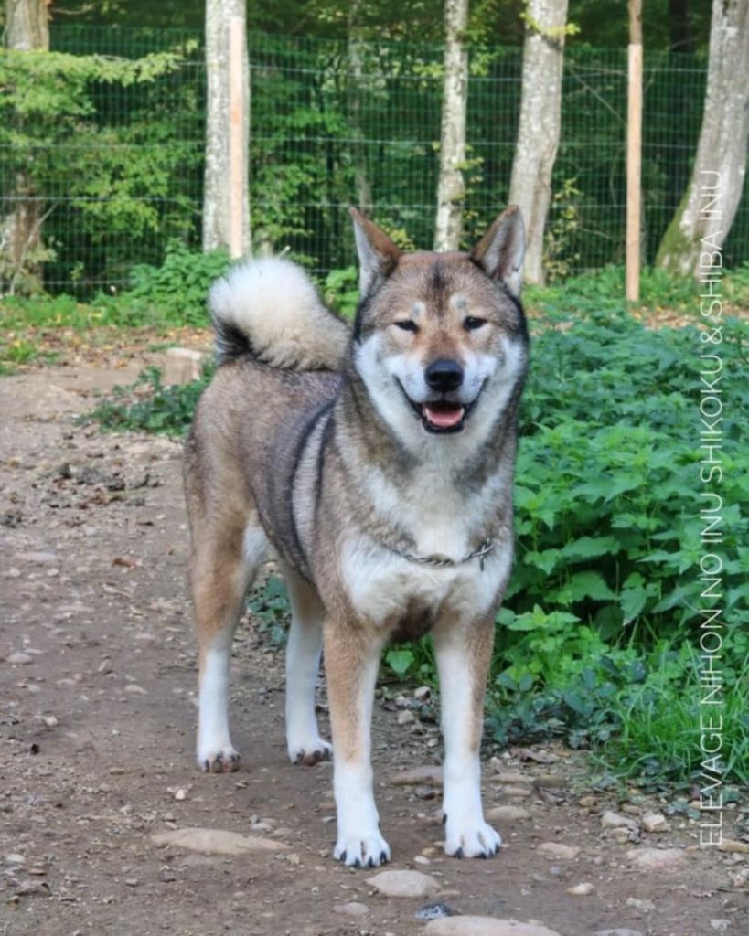 Saori kido (Sans Affixe)