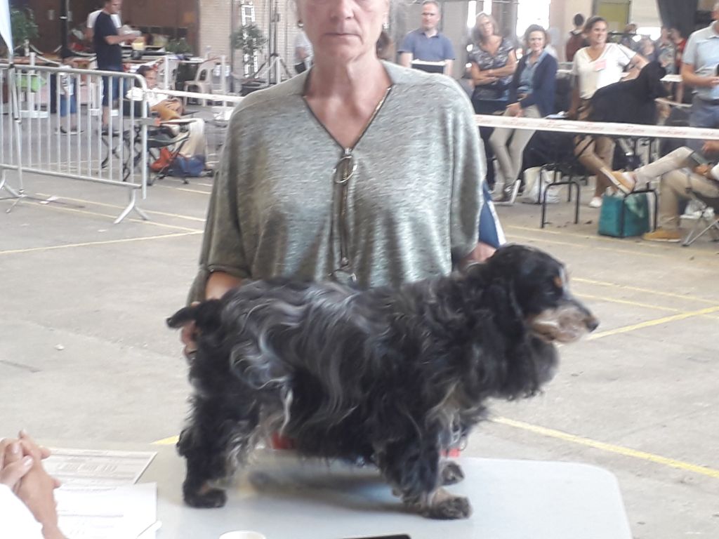 TR. Lolotte Des terres froides - 3ème Excellent