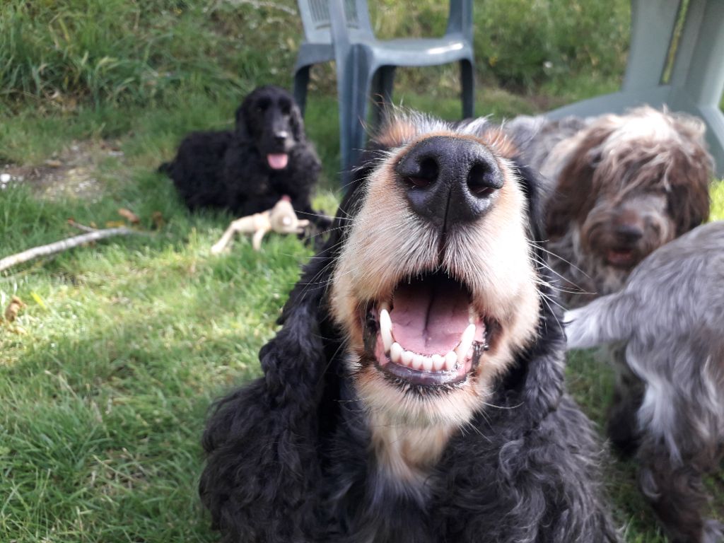 TR. Lolotte Des terres froides - 3ème Excellent