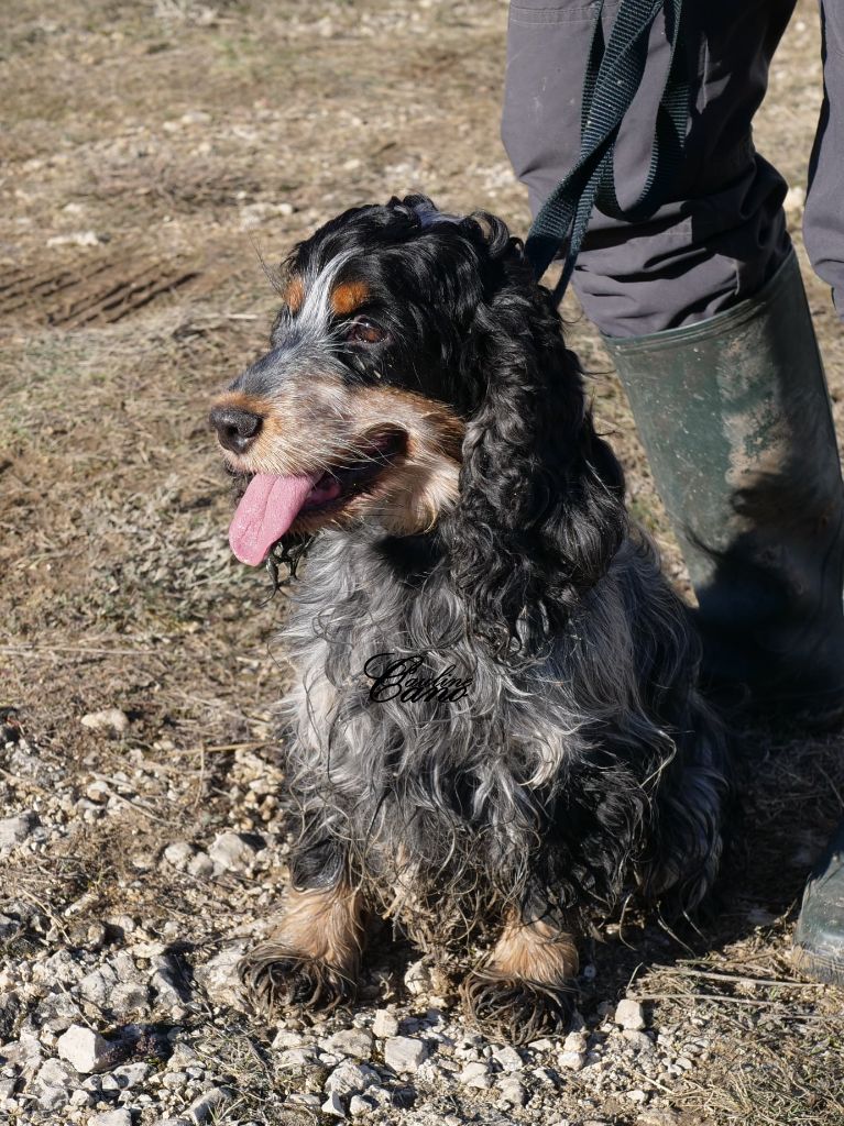 TR. Lolotte Des terres froides - 3 ème TB