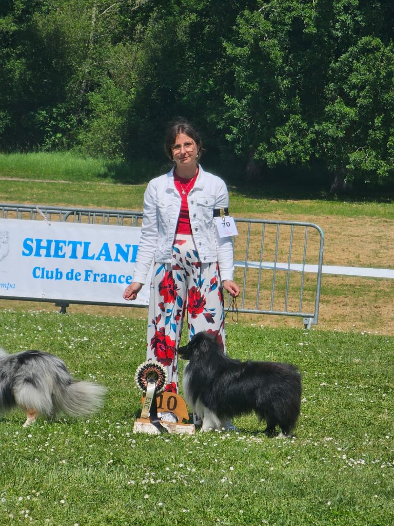 Publication : (Sans Affixe)