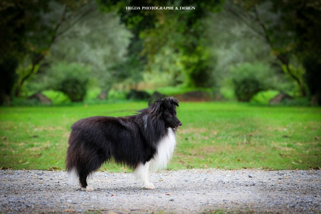 Publication : (Sans Affixe)