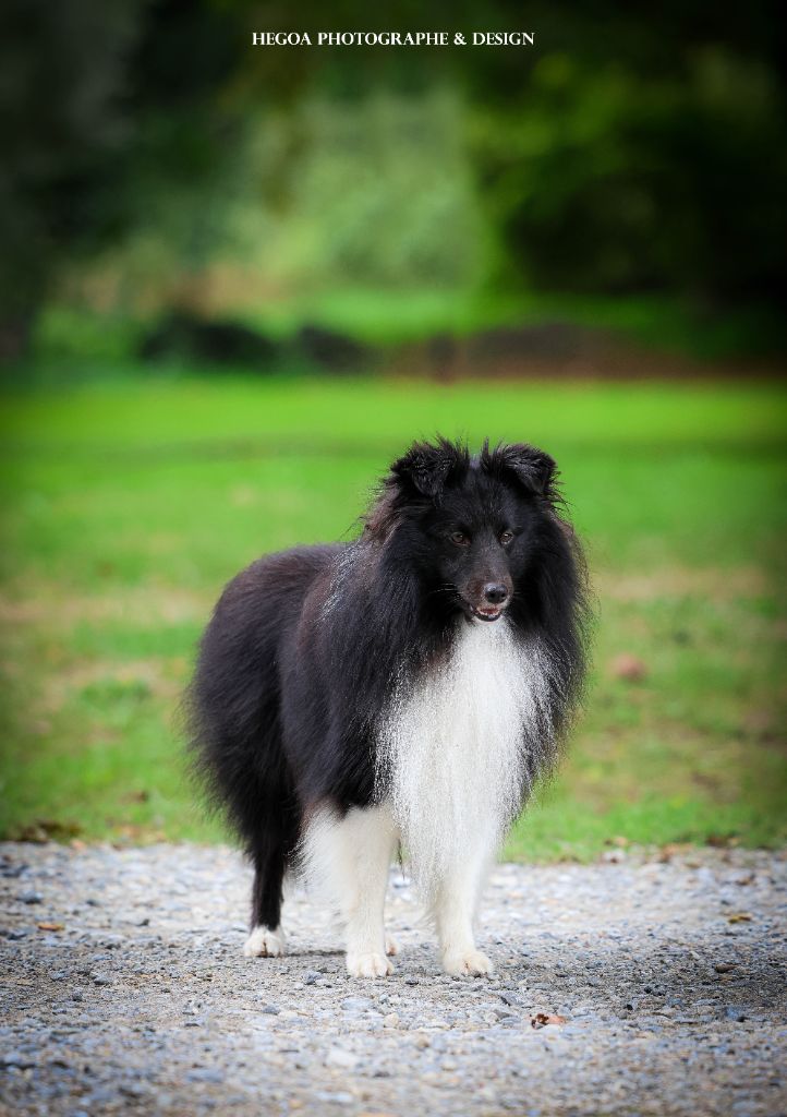 Publication : (Sans Affixe)