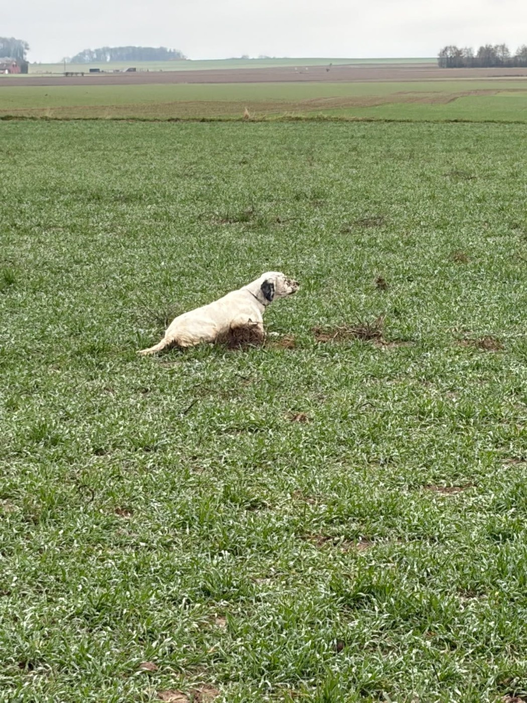 Publication : Des Belles De L'Adour