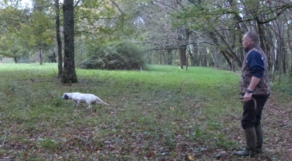 Publication : Des Belles De L'Adour Auteur : Elevage des Belles de l'Adour