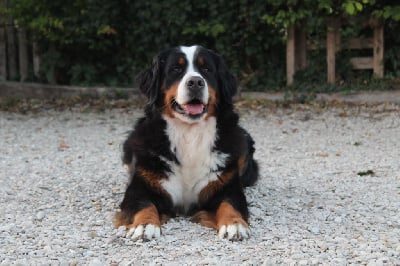 Du Territoire De Liho