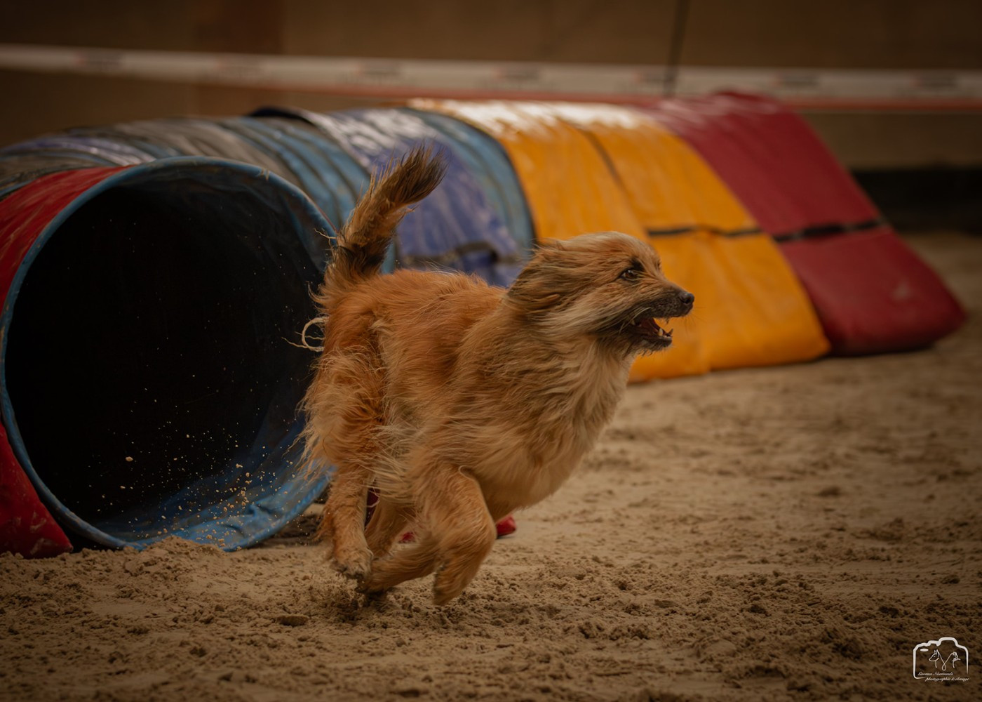 Révlone Du Ruisseau De L'Hubillane