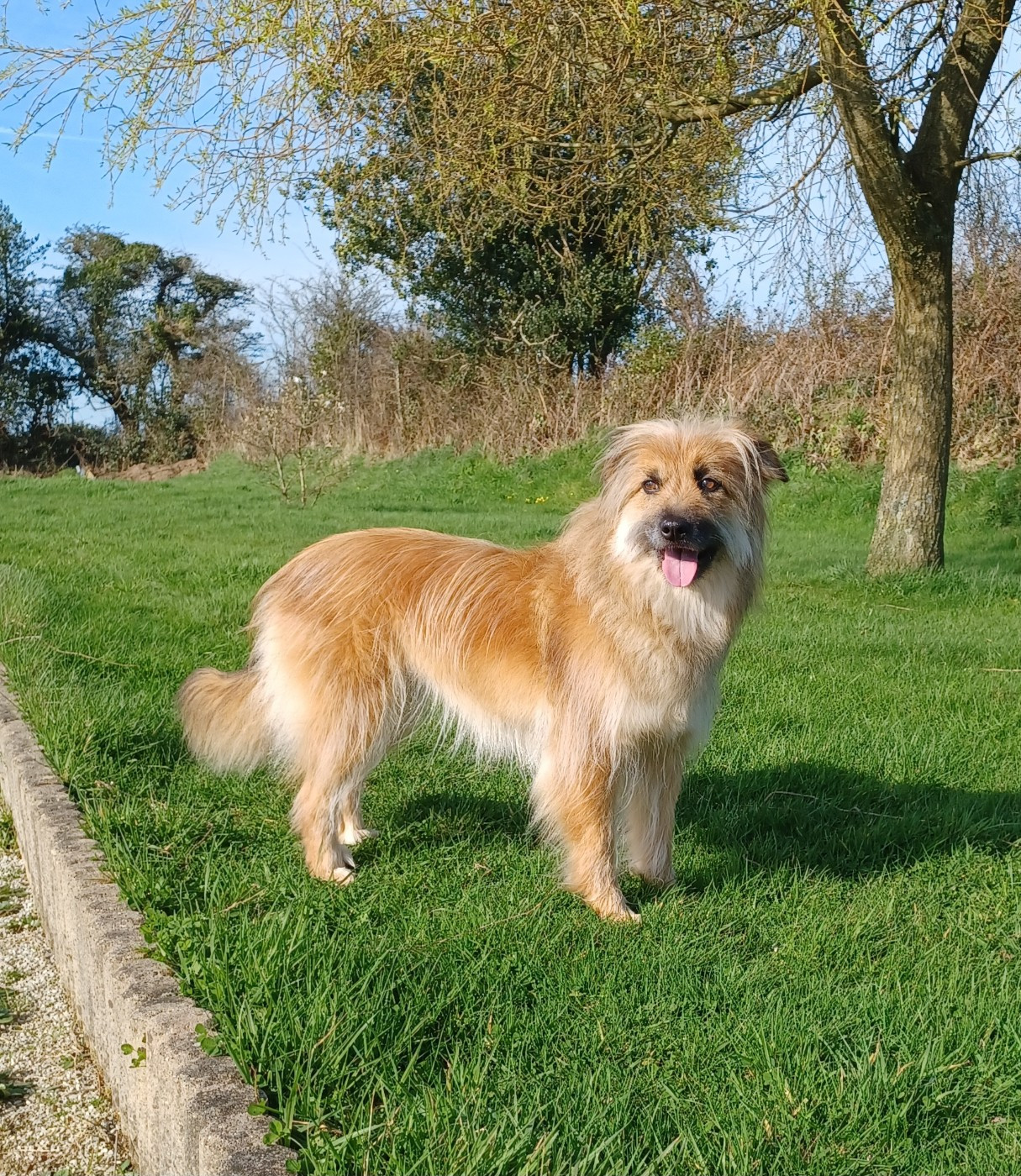 Révlone Du Ruisseau De L'Hubillane
