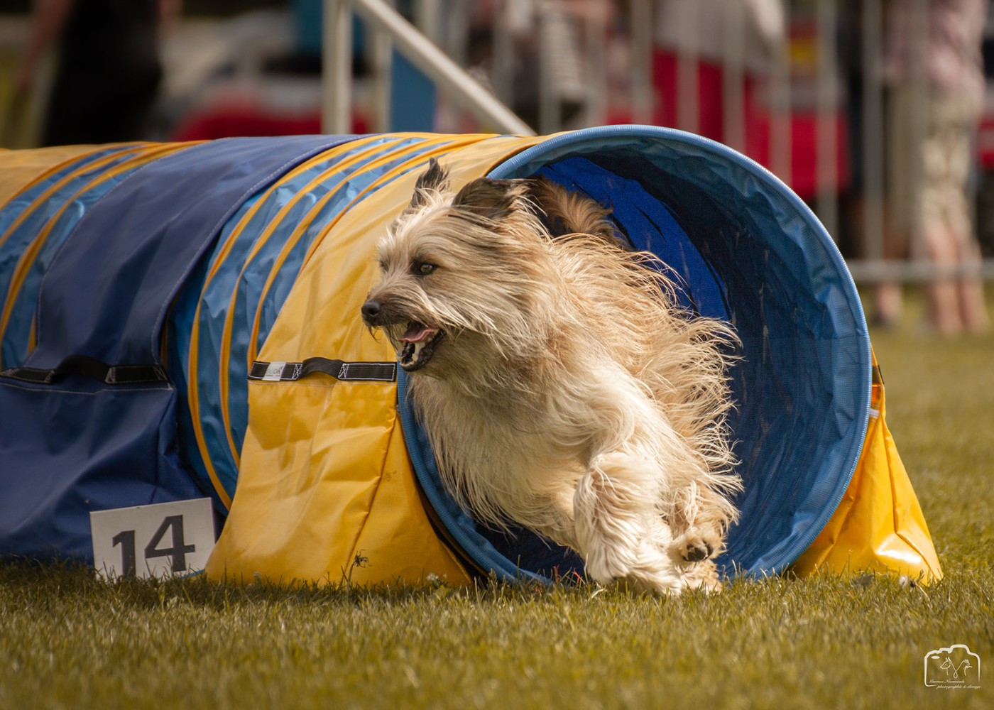 Taranne Du Ruisseau De L'Hubillane