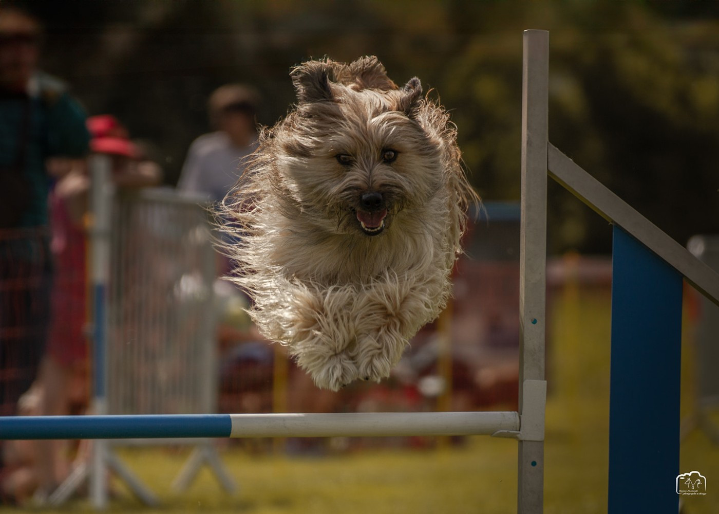 Taranne Du Ruisseau De L'Hubillane