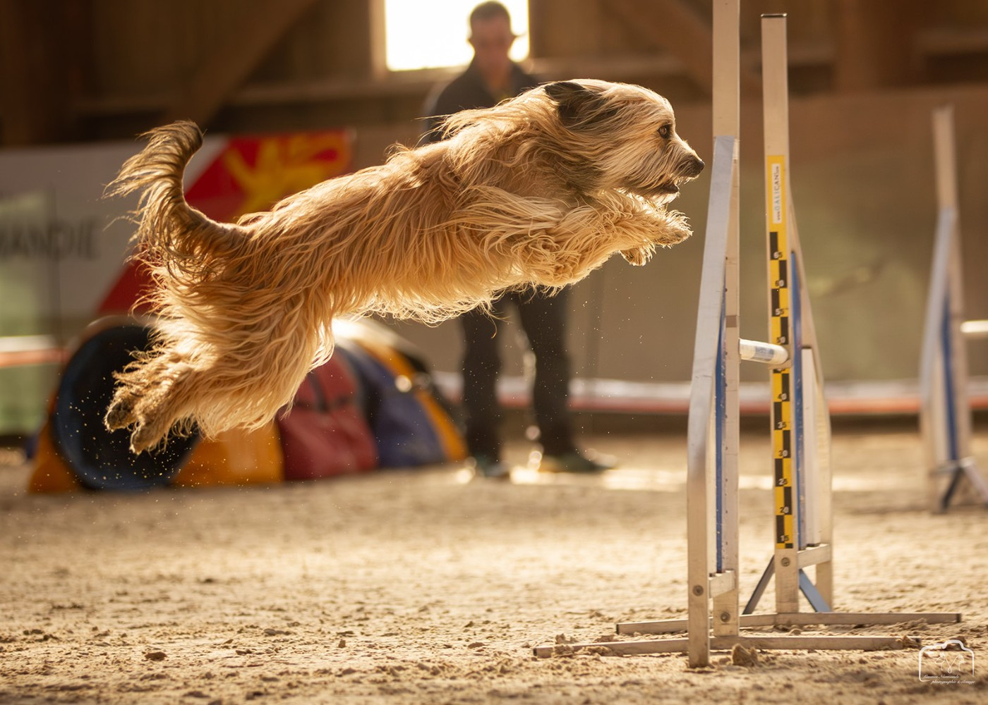 Taranne Du Ruisseau De L'Hubillane