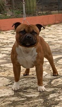 Publication : (Sans Affixe)