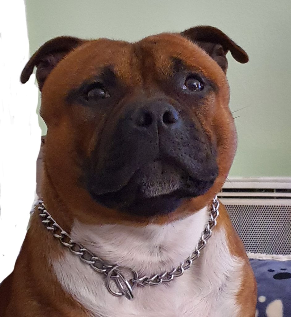 Publication : (Sans Affixe)