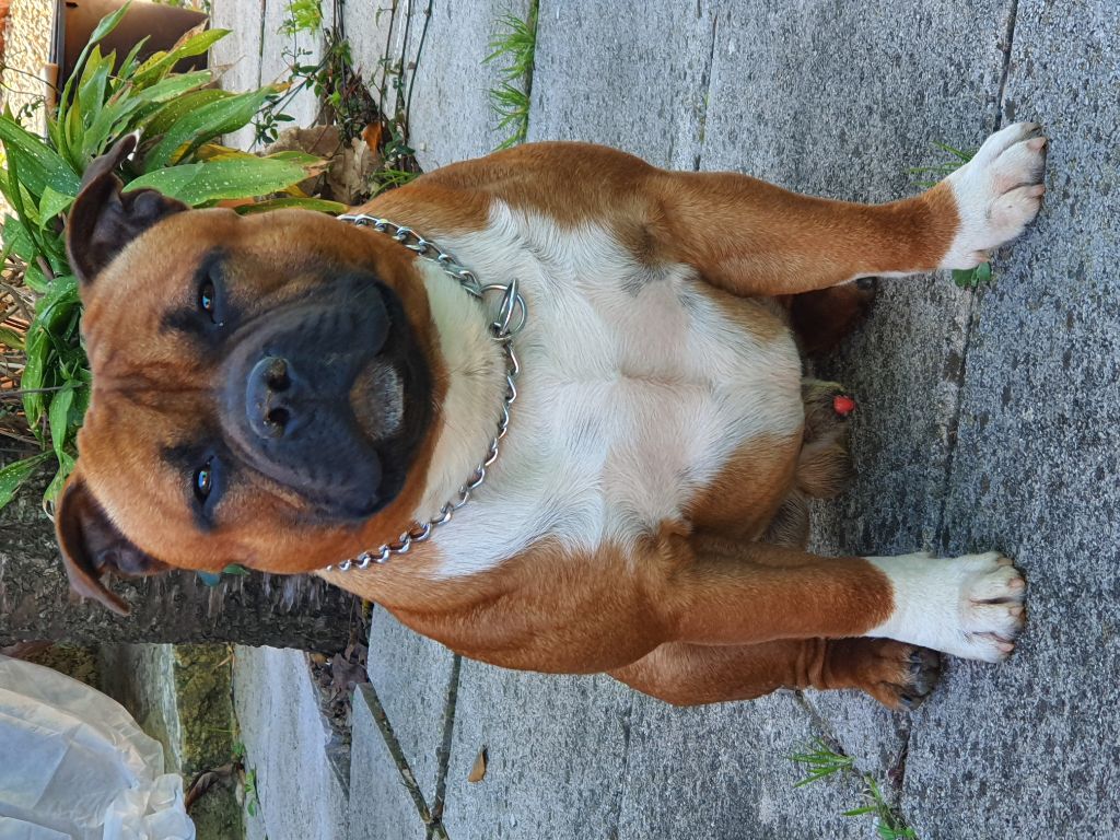 Publication : (Sans Affixe)