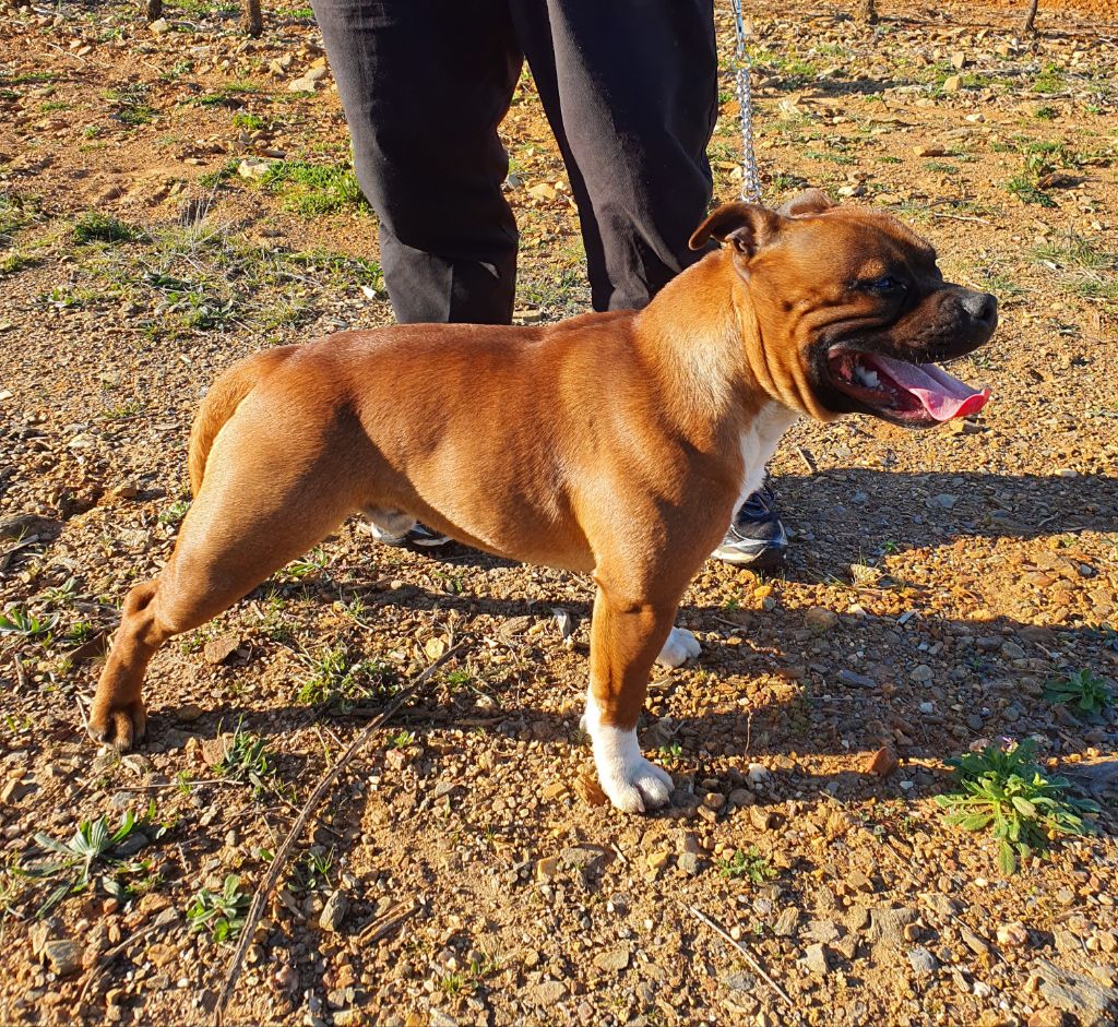 Publication : (Sans Affixe)