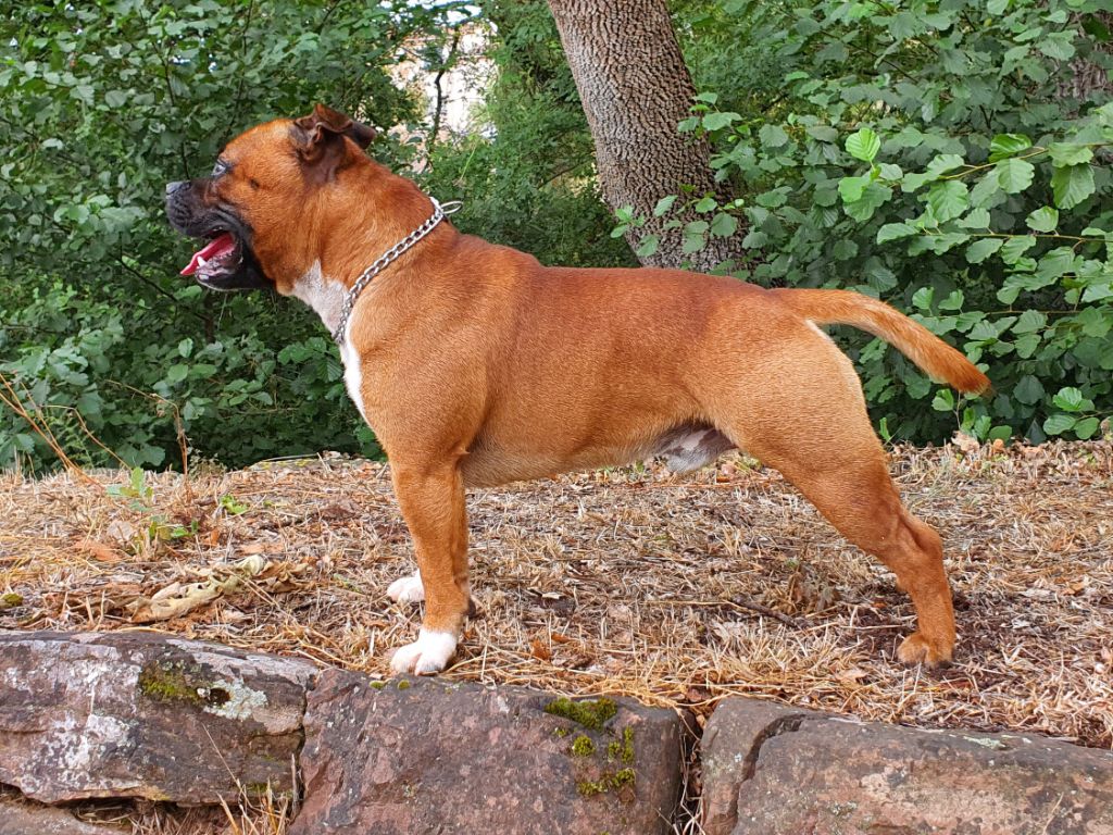 Publication : (Sans Affixe)