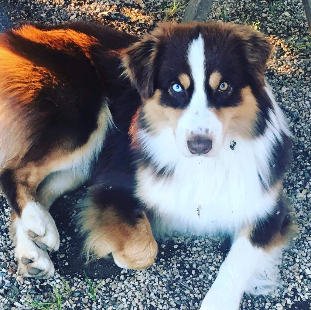 Publication : (Sans Affixe)