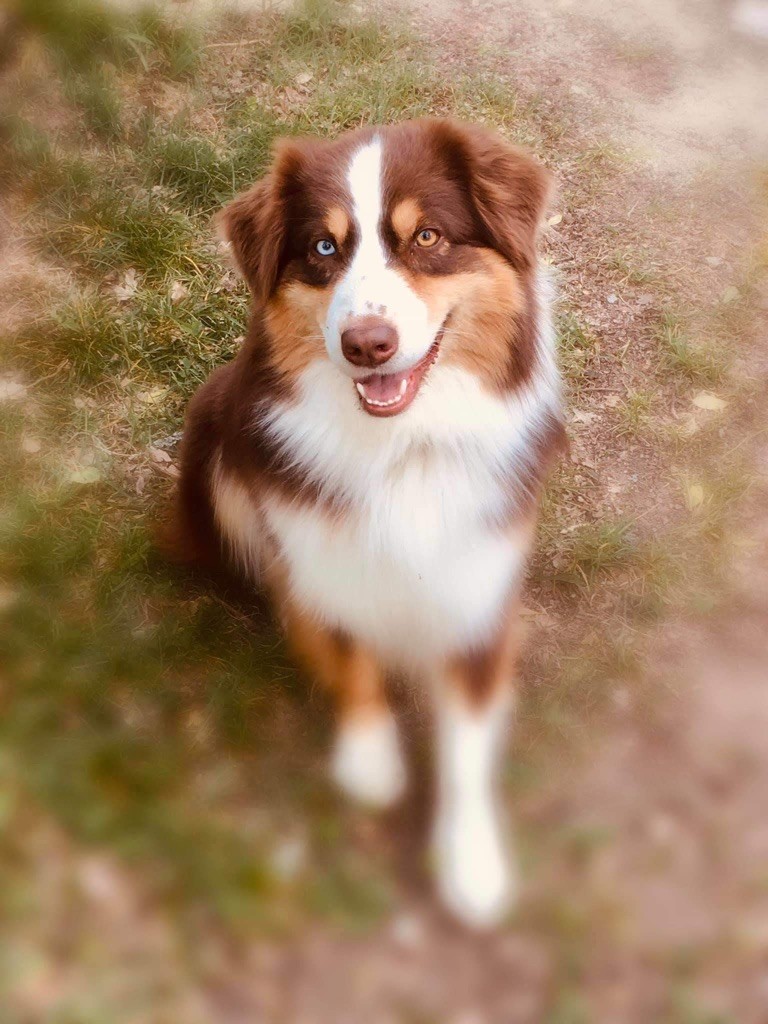 Publication : (Sans Affixe)