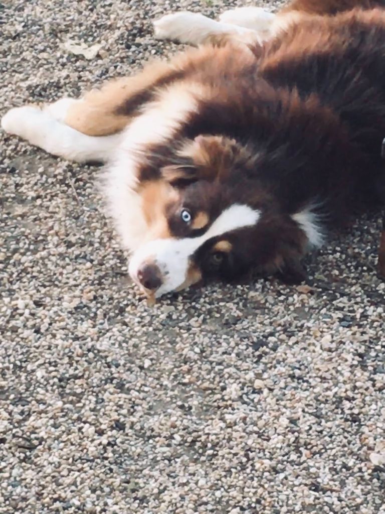 Publication : (Sans Affixe)