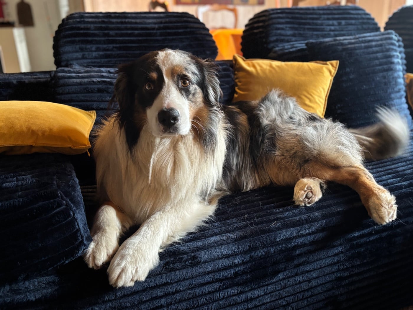 Unbearable lightness (joshua) De La Perle Du Morvan