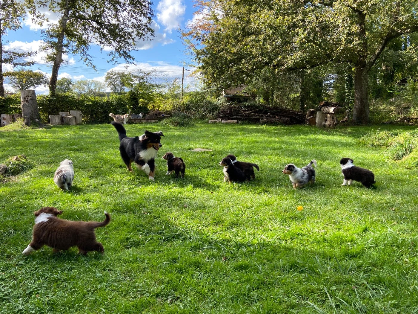 Pablo picasso keep cool Des Collines Du Lac De Paladru